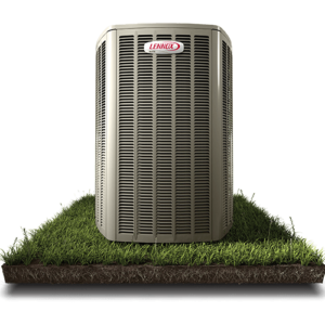 19LNX_040828_DLS-AH_plank_RGB-11-2-1